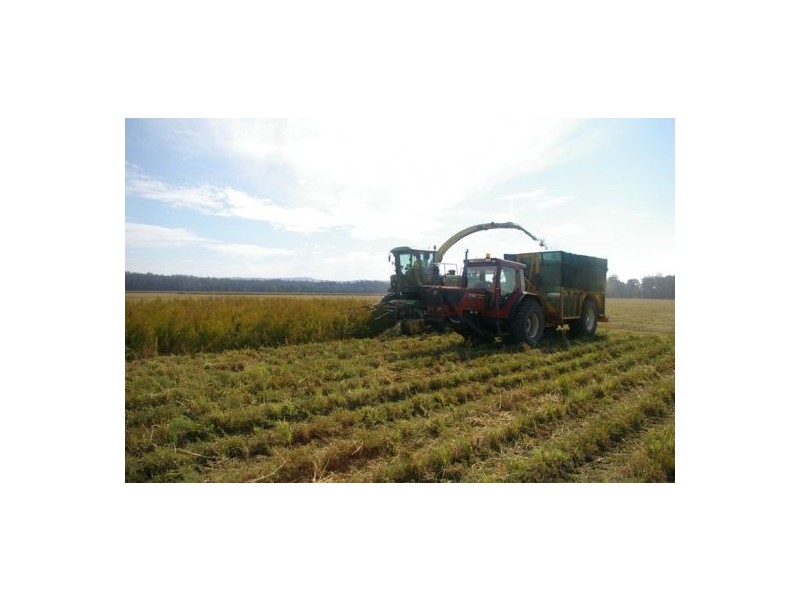 Kempsey NSW 2440
