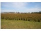 Kempsey NSW 2440