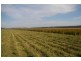Kempsey NSW 2440
