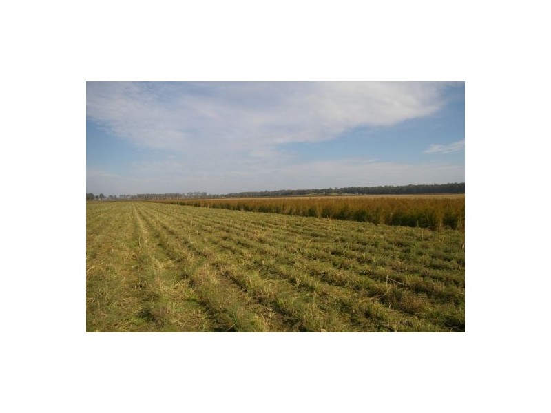 Kempsey NSW 2440