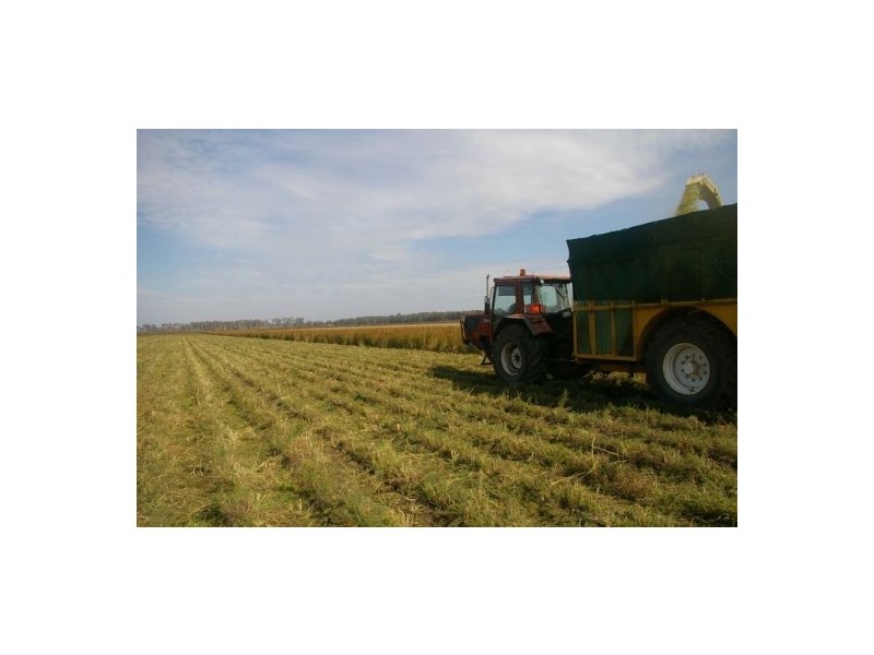 Kempsey NSW 2440
