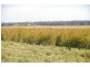 Kempsey NSW 2440