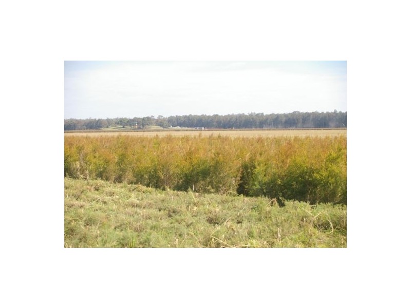 Kempsey NSW 2440