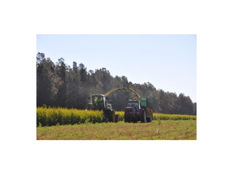 Kempsey NSW 2440