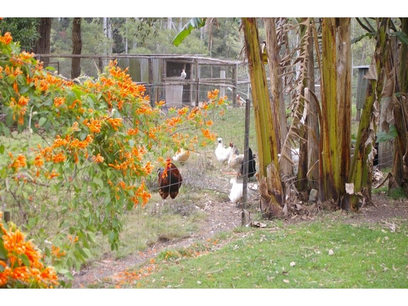 South Kempsey NSW 2440