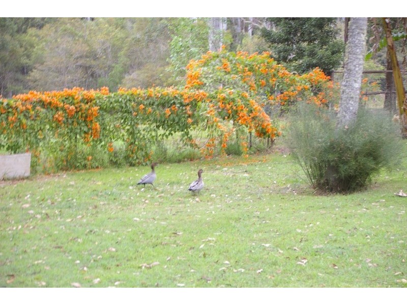 South Kempsey NSW 2440