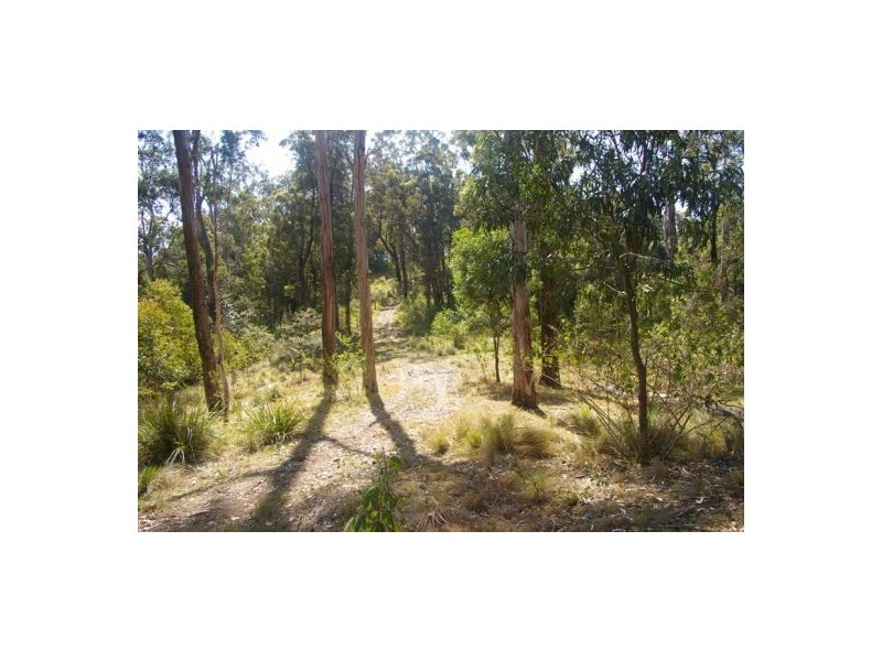 Rollands Plains NSW 2441