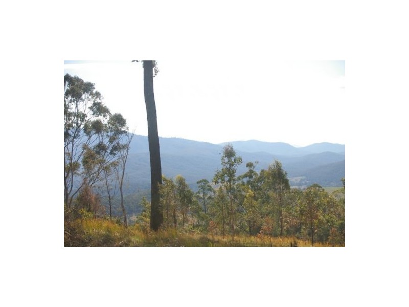 Rollands Plains NSW 2441
