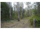 Rollands Plains NSW 2441