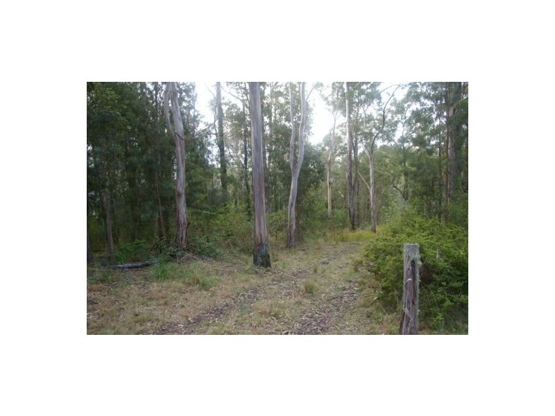 Rollands Plains NSW 2441