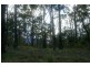Rollands Plains NSW 2441
