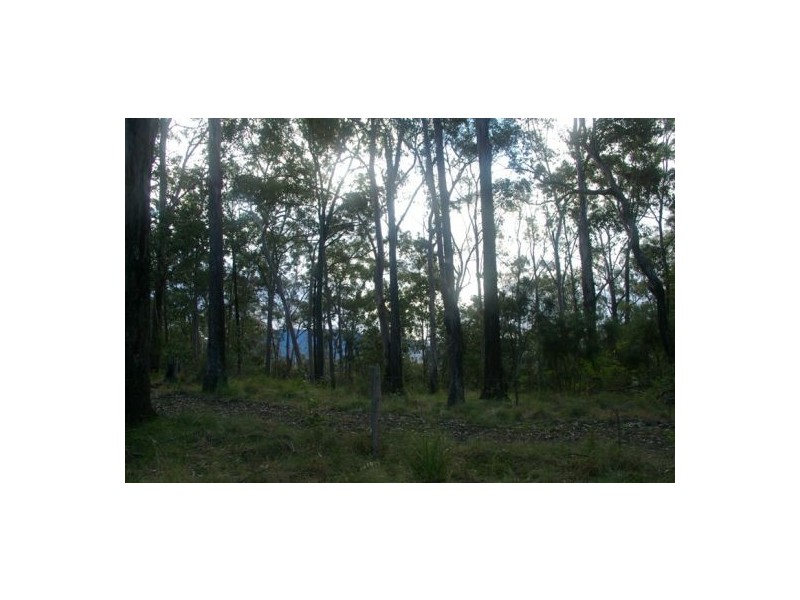 Rollands Plains NSW 2441