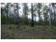 Rollands Plains NSW 2441