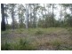 Rollands Plains NSW 2441