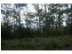 Rollands Plains NSW 2441