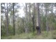 Rollands Plains NSW 2441