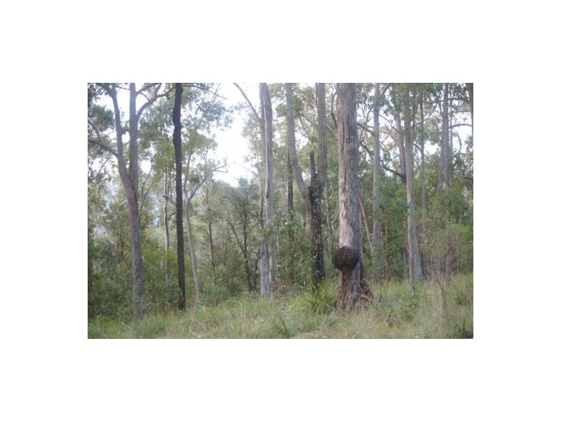 Rollands Plains NSW 2441
