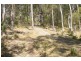 Rollands Plains NSW 2441