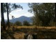 Rollands Plains NSW 2441