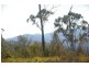 Rollands Plains NSW 2441