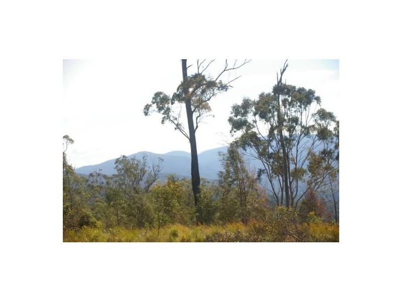 Rollands Plains NSW 2441