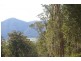 Rollands Plains NSW 2441