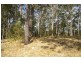 Rollands Plains NSW 2441