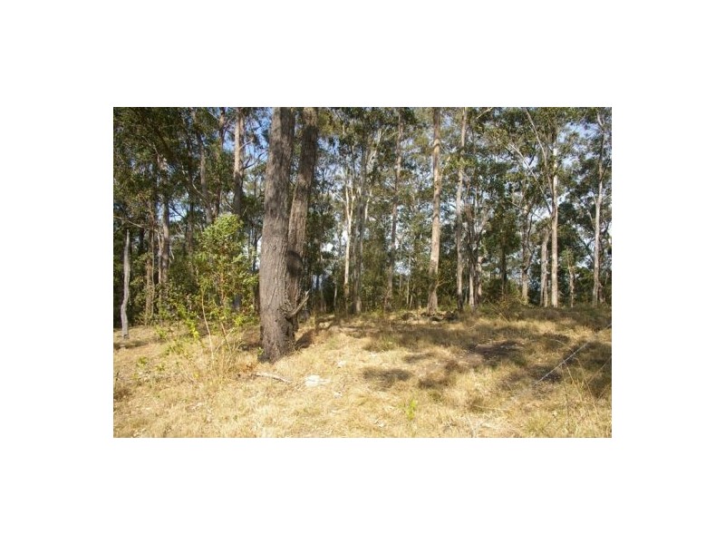 Rollands Plains NSW 2441