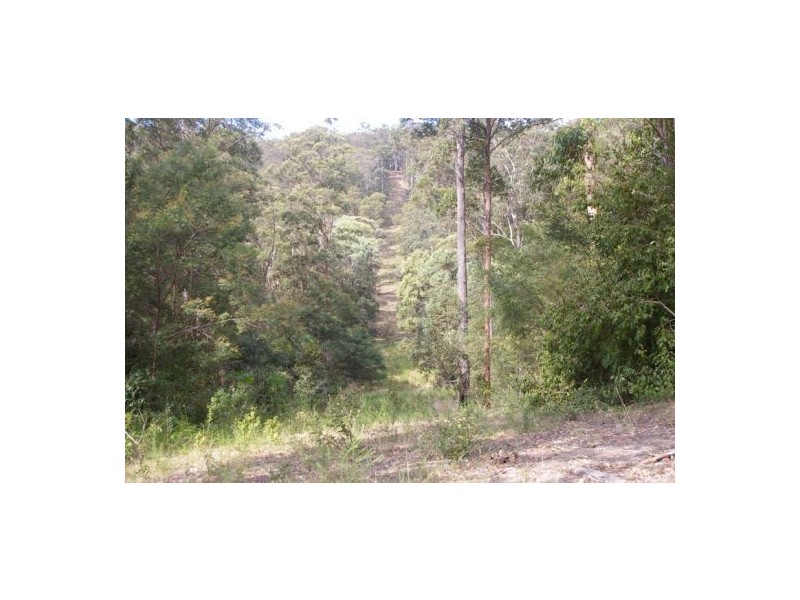 Rollands Plains NSW 2441