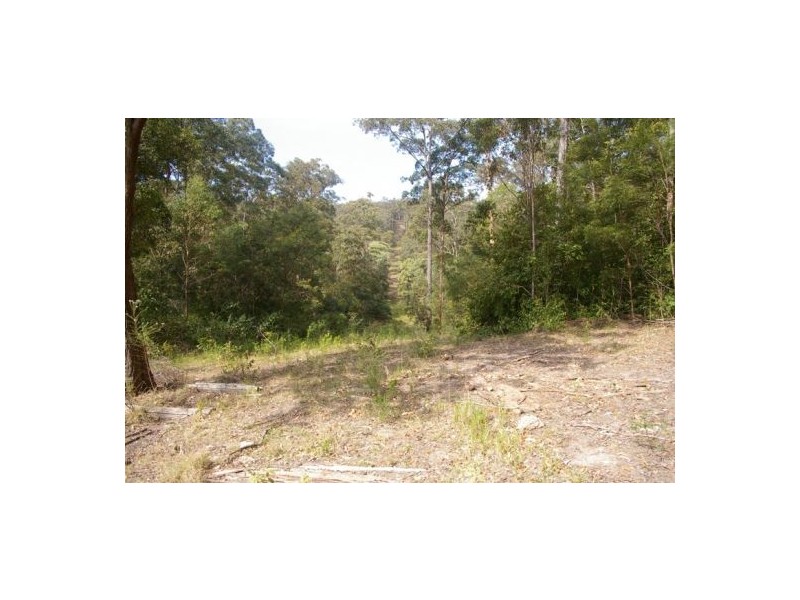 Rollands Plains NSW 2441