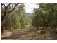 Rollands Plains NSW 2441