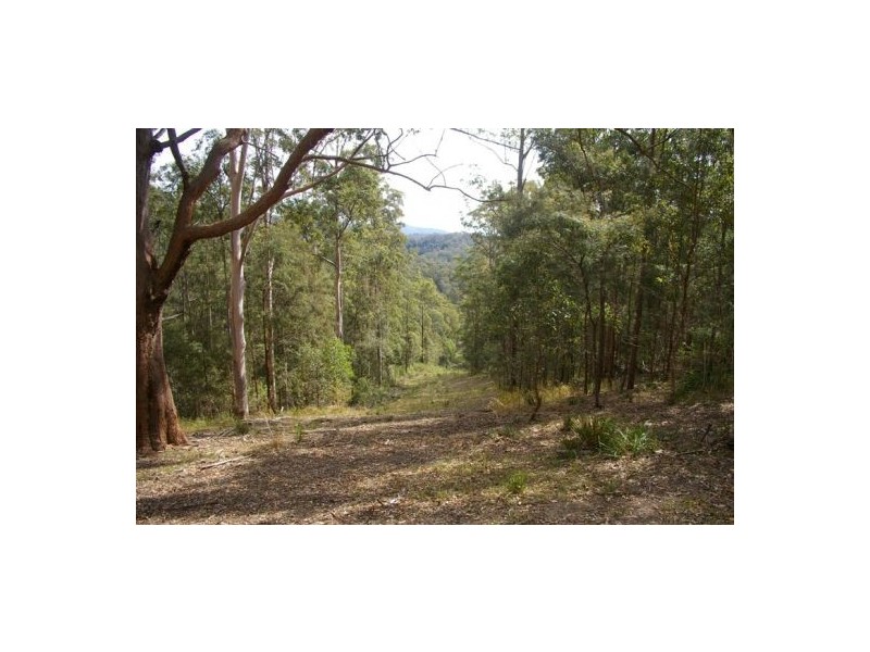 Rollands Plains NSW 2441
