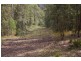 Rollands Plains NSW 2441