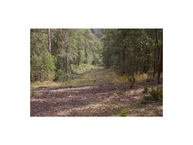 Rollands Plains NSW 2441