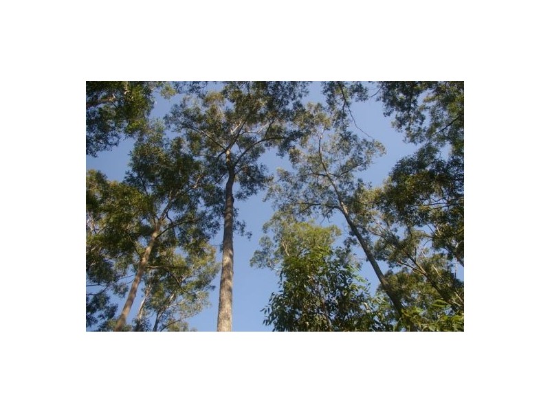 Lake Innes NSW 2446