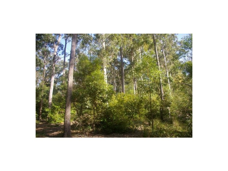 Lake Innes NSW 2446