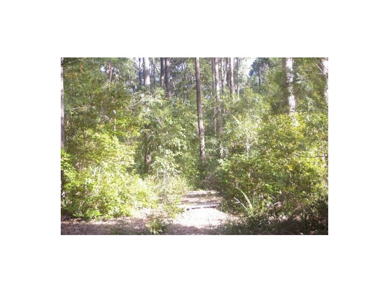 Lake Innes NSW 2446