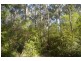 Lake Innes NSW 2446