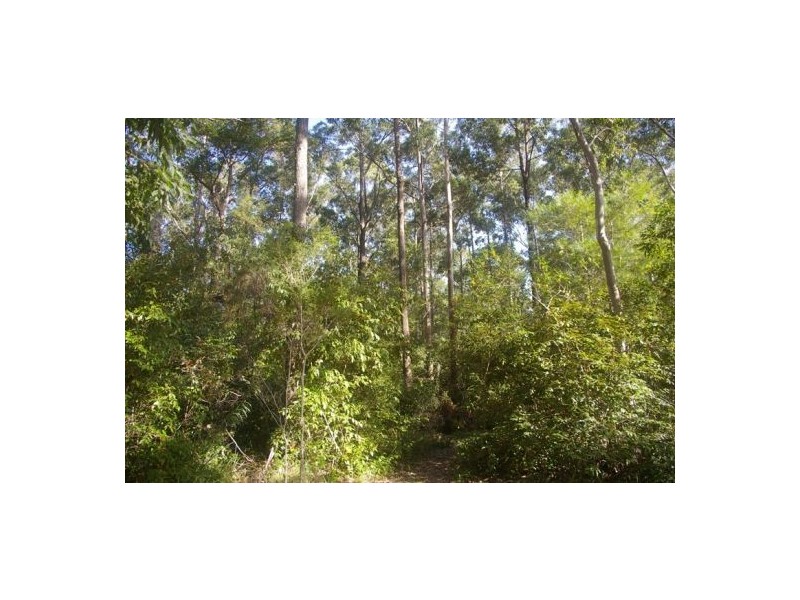 Lake Innes NSW 2446