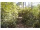 Lake Innes NSW 2446