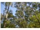 Lake Innes NSW 2446