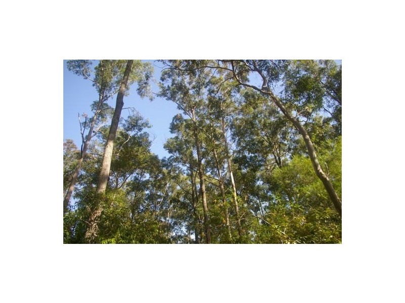 Lake Innes NSW 2446