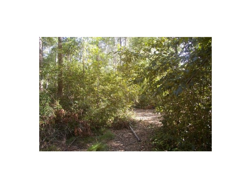 Lake Innes NSW 2446