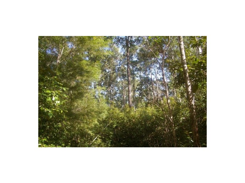 Lake Innes NSW 2446