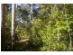 Lake Innes NSW 2446
