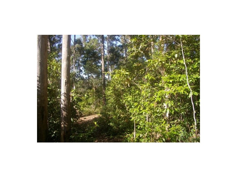 Lake Innes NSW 2446