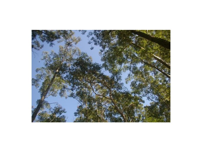 Lake Innes NSW 2446