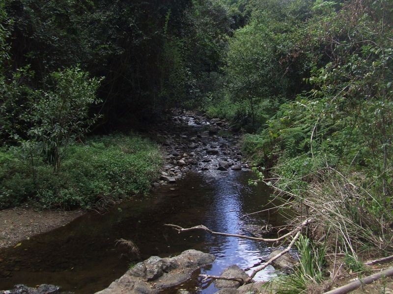 Ellenborough NSW 2446