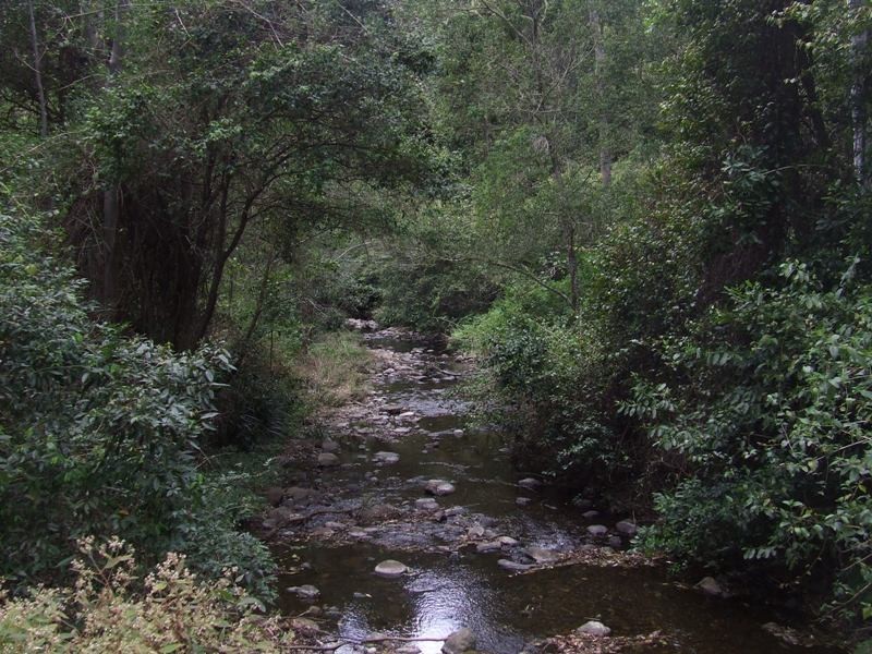 Ellenborough NSW 2446