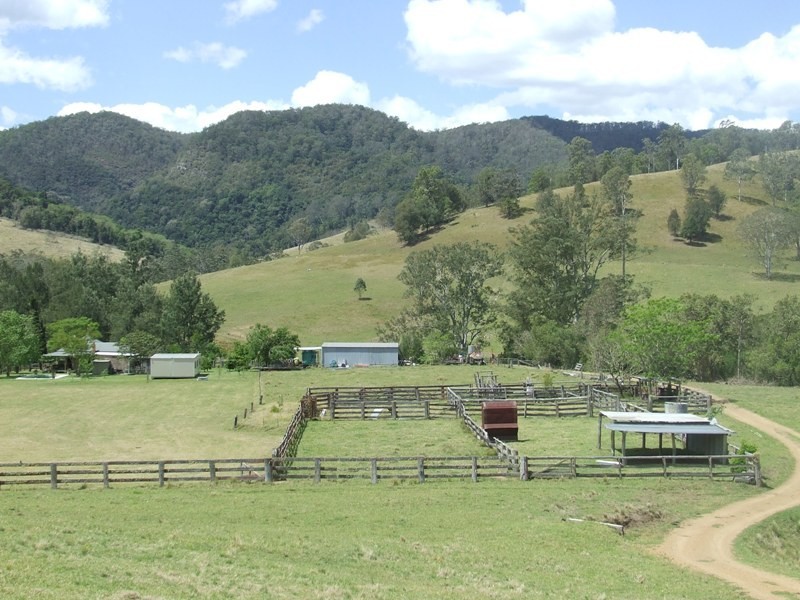 Ellenborough NSW 2446